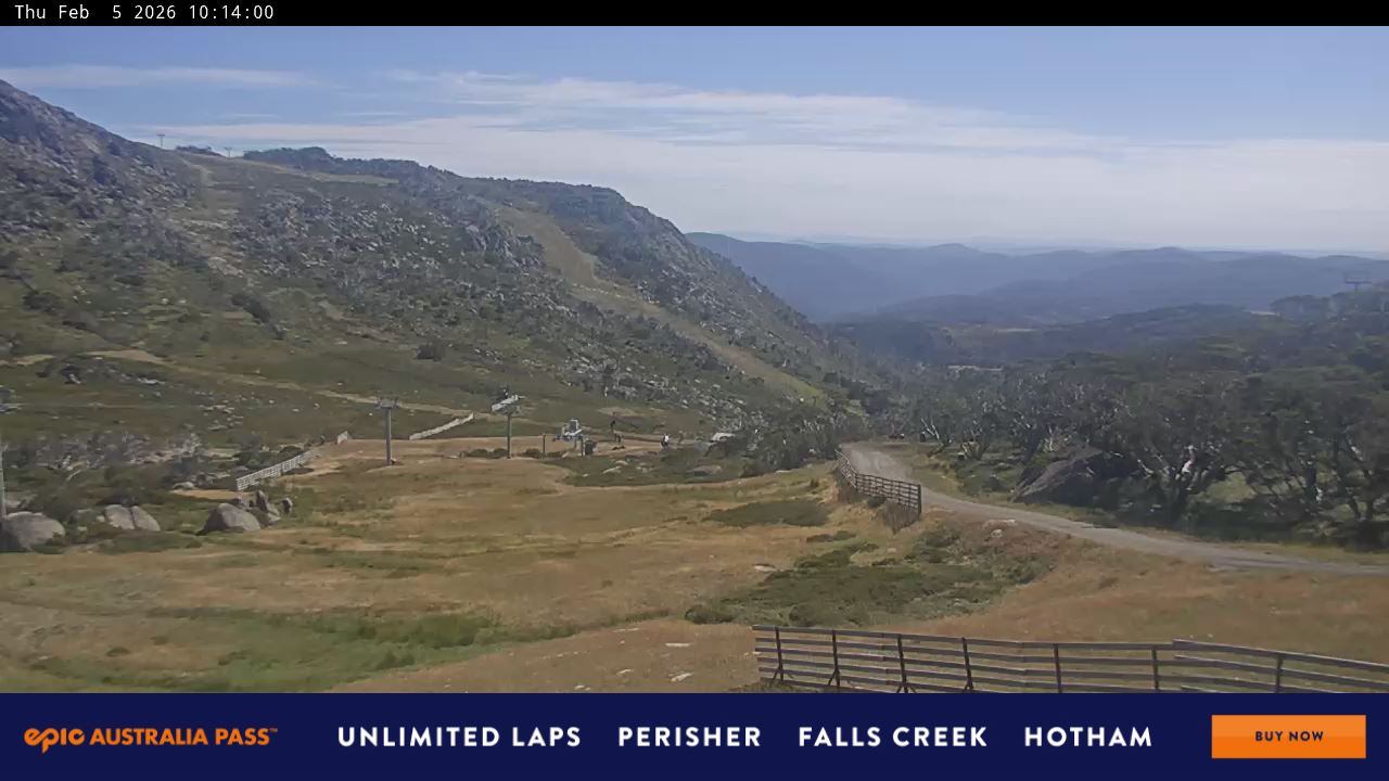 View full-screen Blue Cow