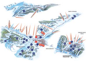 Village Map