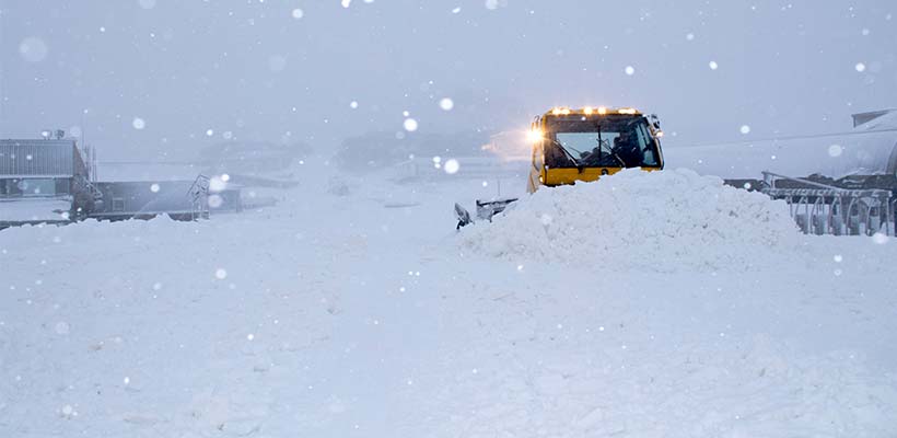 Early Snowfall