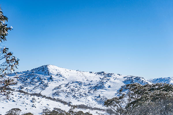 IEA Perisher Header 2505