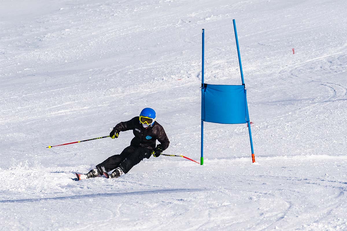 2019AplineImage_1