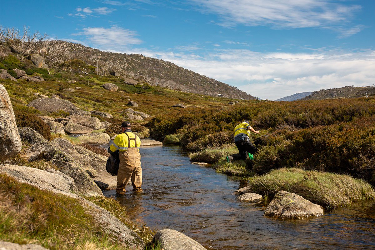 Clean Up Perisher 1200x800 5