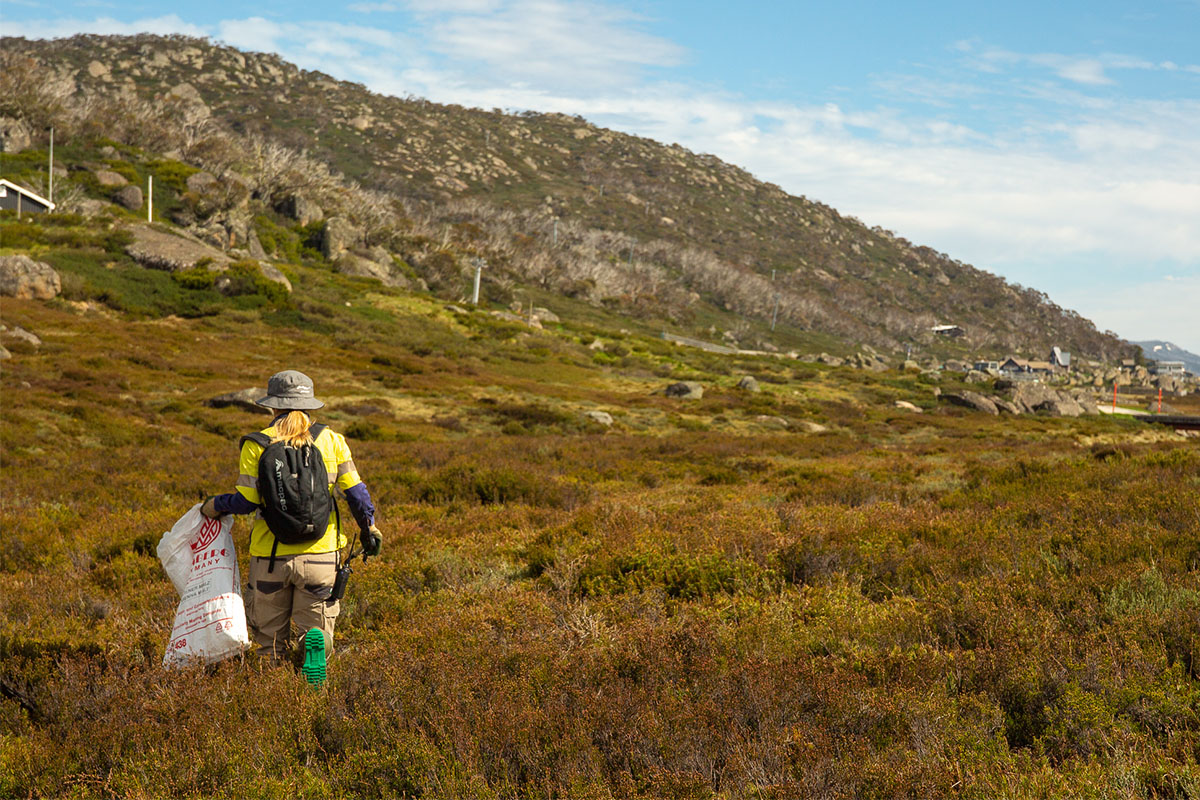 Clean Up Perisher 1200x800 6