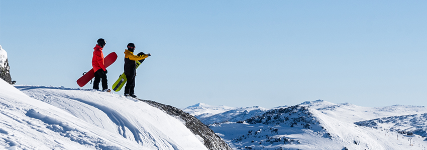 Dashboard BeBackSoon