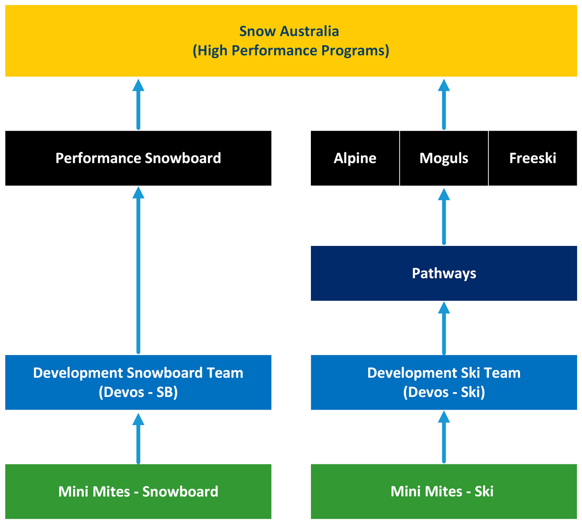 WSC Pathway Diagram