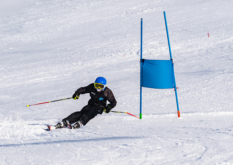 WSC Performance AlpineTeam