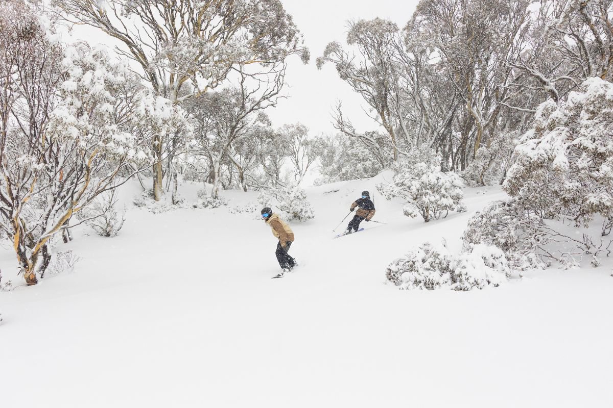 Perisher skier snowboarder in Powder