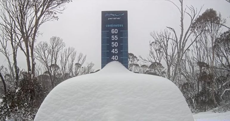 Perisher Snow Stake