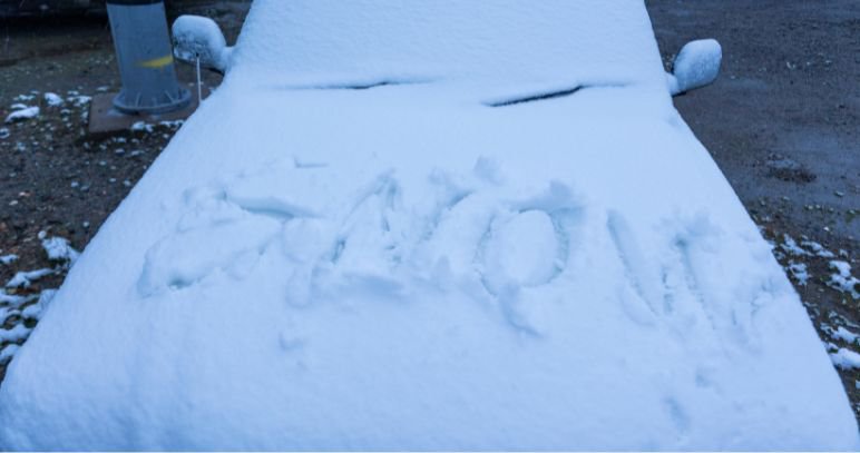 artist impression mt p 6