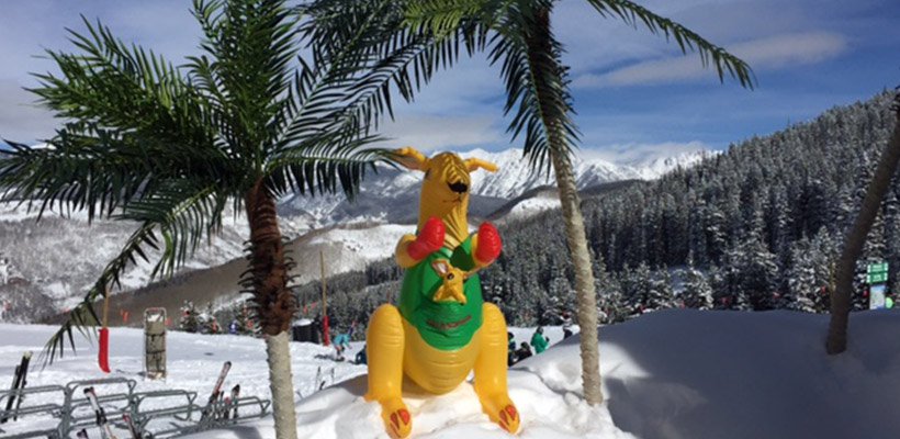 Kangaroo Australia Day Vail