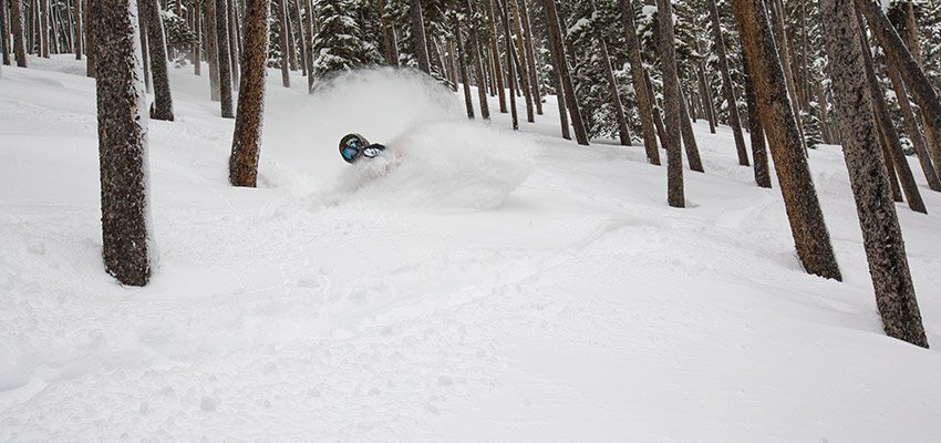 Keystone Powder Trees