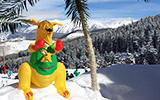 Australia Day Vail Thumbnail
