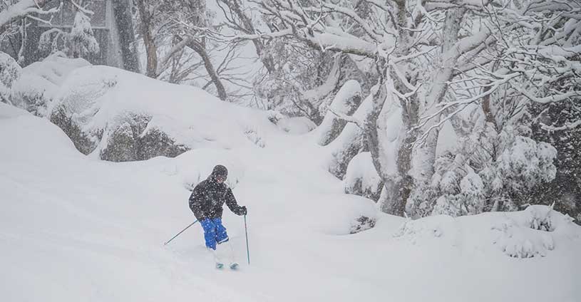 Perisher Snowfalls Skiers POwder