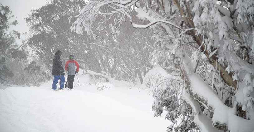 Perisher Snowfalls Skiers