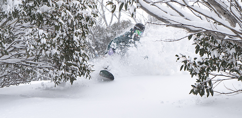 Blog Internal Snowboarder Gumtrees copy