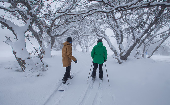 Perisher Skier Snowboarder Snow Trees blog
