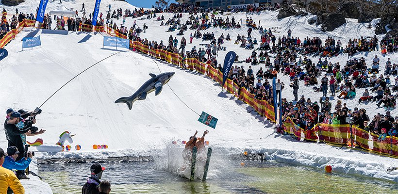 PondSkimBlogInternal820x400_2.jpg