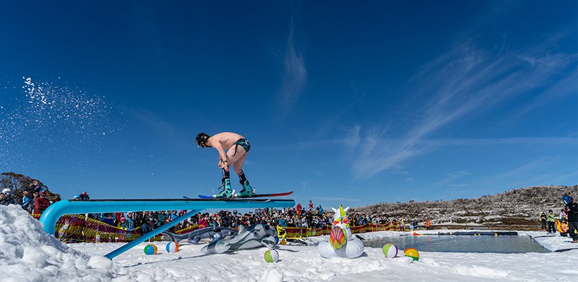 PondSkimBlogInternal820x400_4_copy.jpg