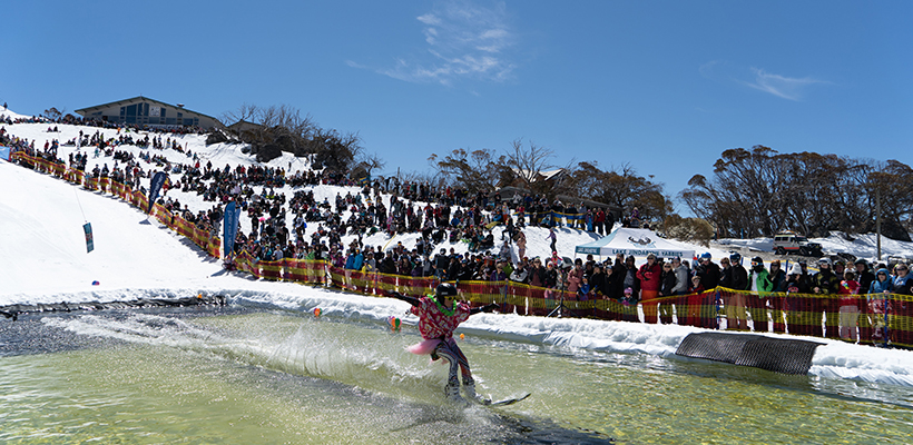 PondSkimBlogInternal820x400_6.jpg