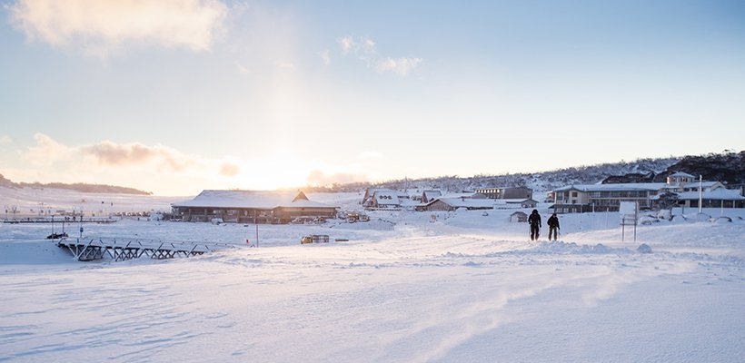 Sunrise walkers