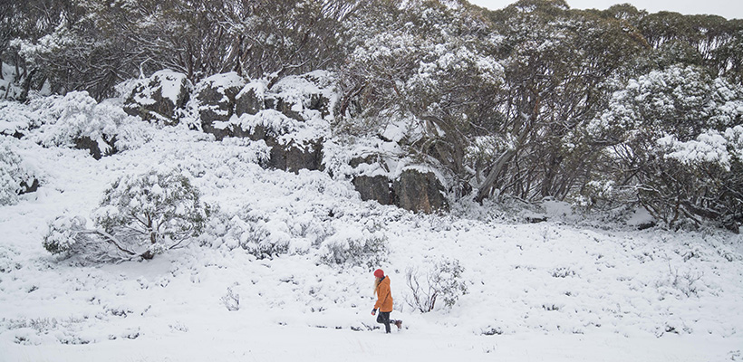 Walking Through Snow