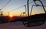 Perisher Blue Cow Opening Thumbnail