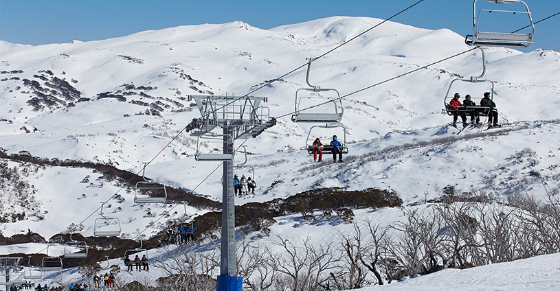 Perisher Dashboard header copy