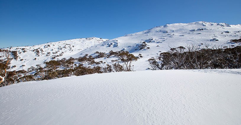 Olympic opening saturday perisher