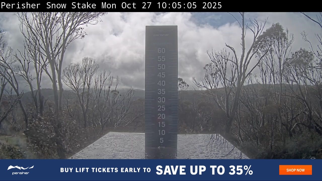 Snow Stake Snow Cam