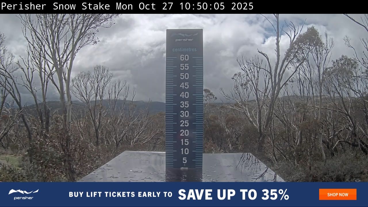 Snow Stake Snow Cam