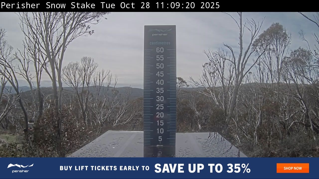 Snow Stake Snow Cam