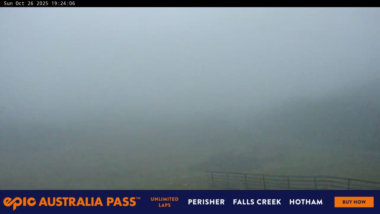 Blue Cow Snow Cam