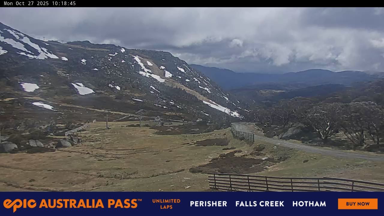 Blue Cow Snow Cam