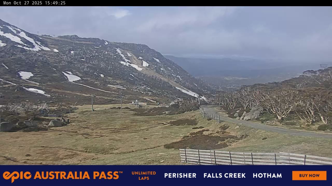 Blue Cow Snow Cam