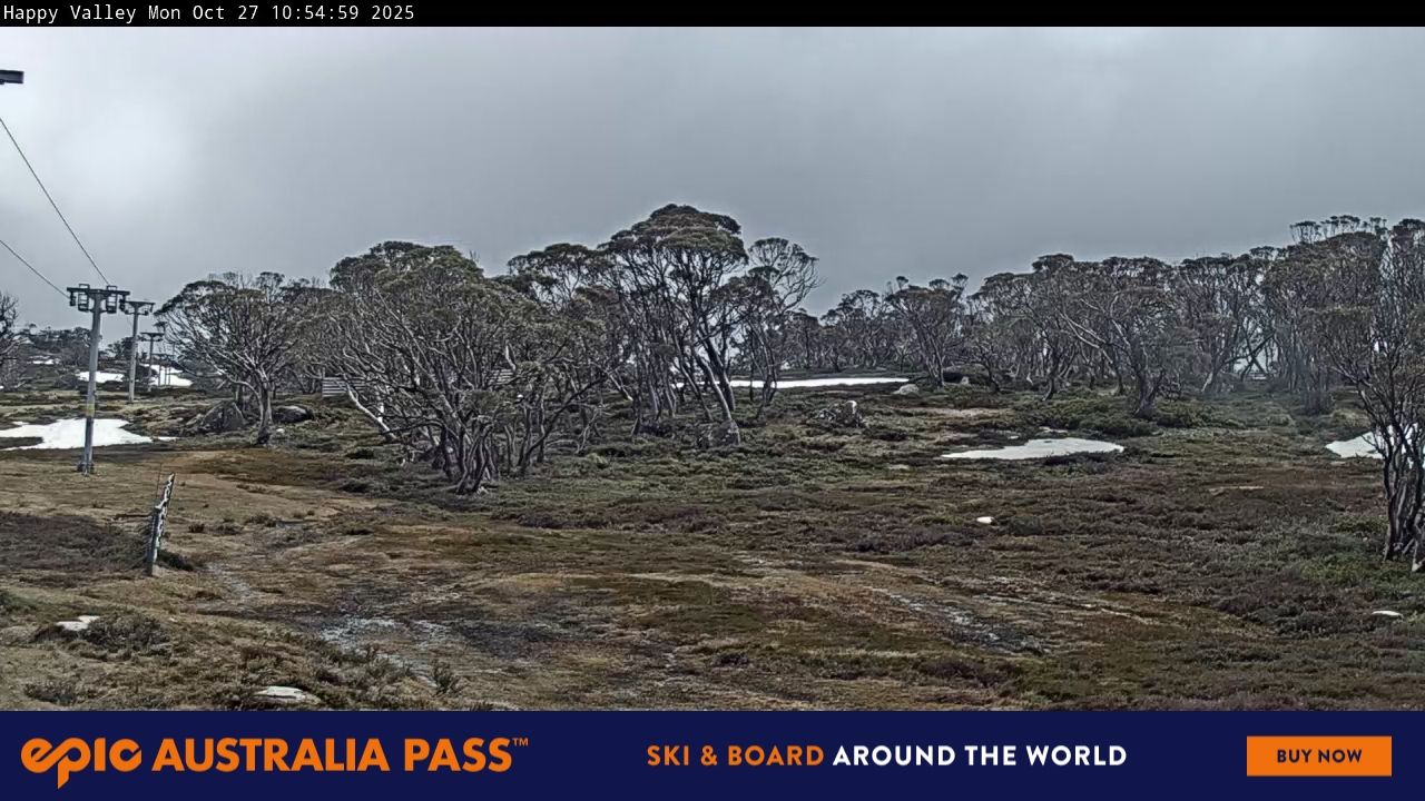 Happy Valley Snow Cam