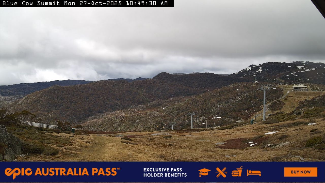 Blue Cow Summit Snow Cam
