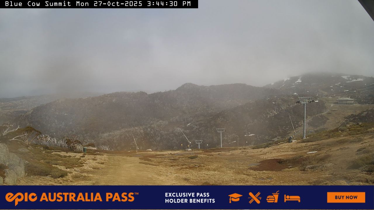 Blue Cow Summit Snow Cam