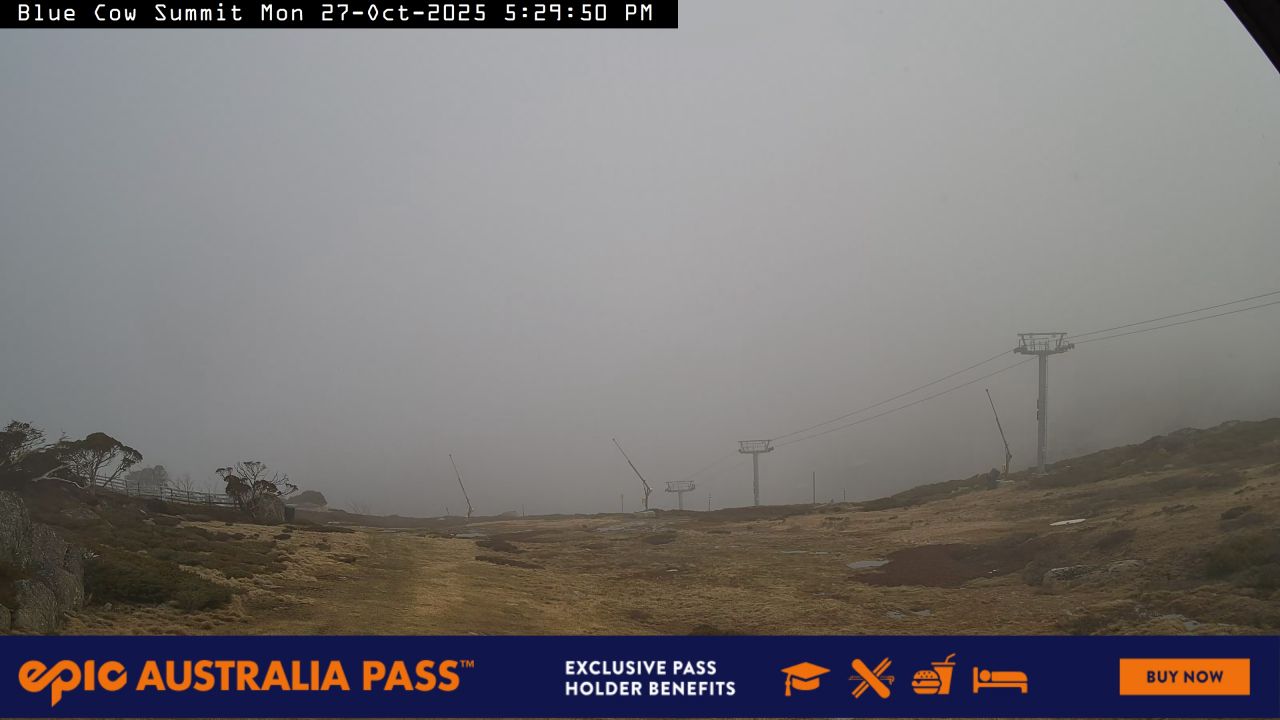 Blue Cow Summit Snow Cam