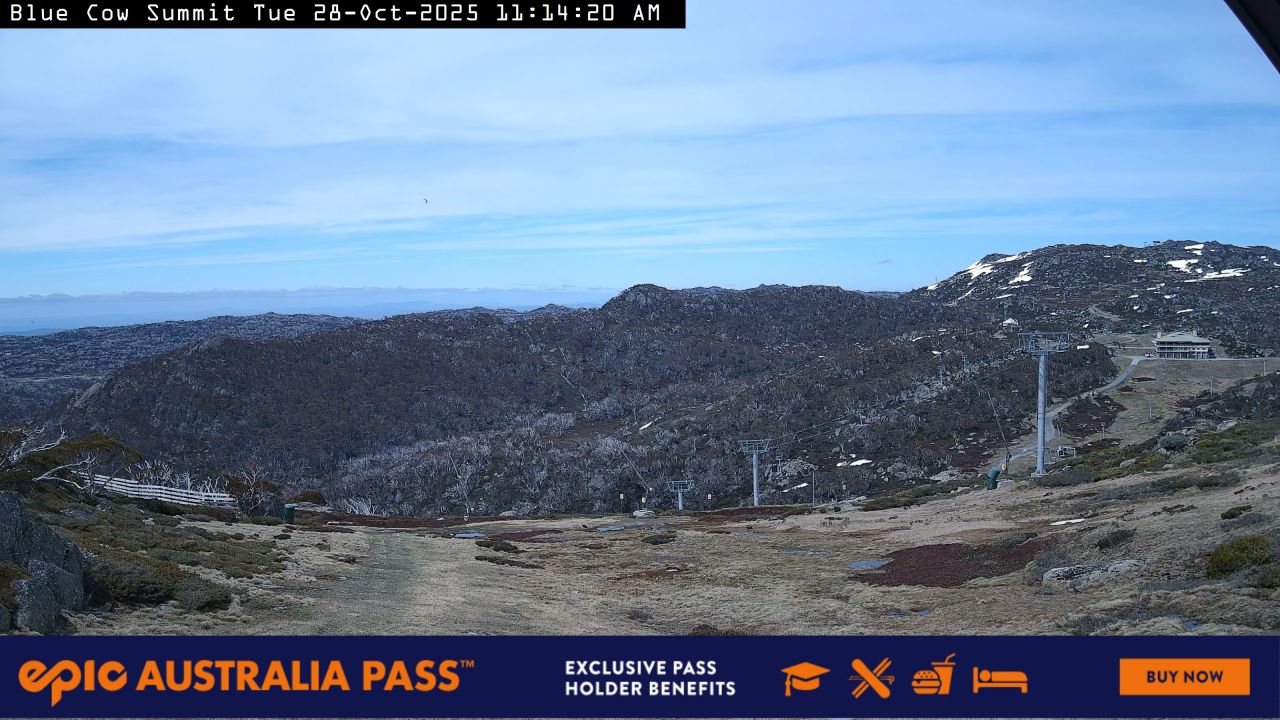 Blue Cow Summit Snow Cam