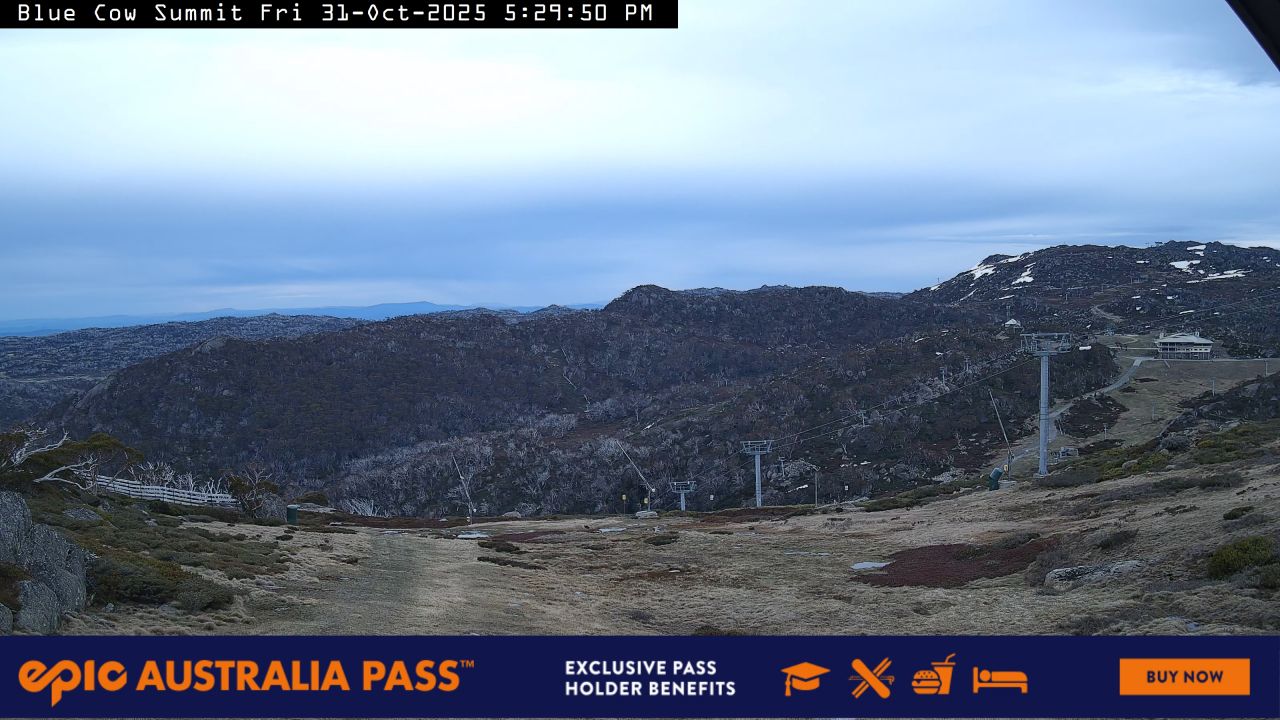 Blue Cow Summit Snow Cam