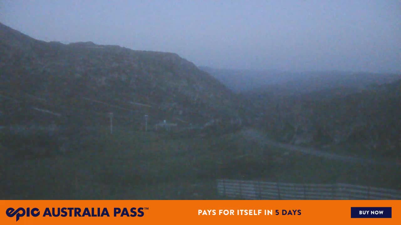 View full-screen Blue Cow Live