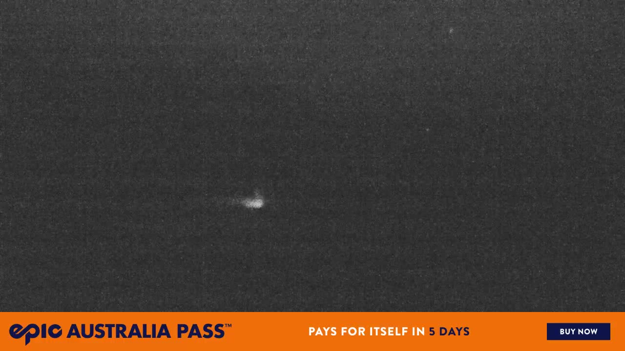 View full-screen Blue Cow Live