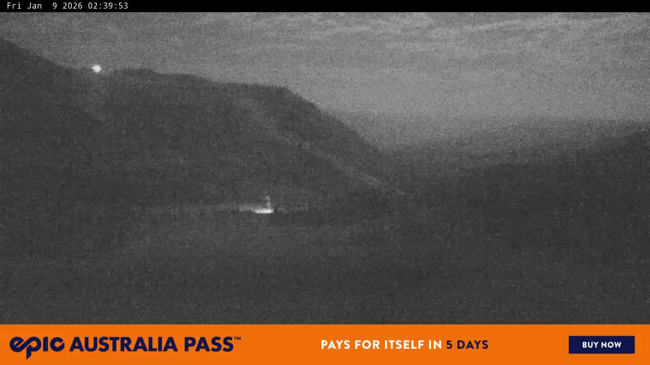 View full-screen Blue Cow Live