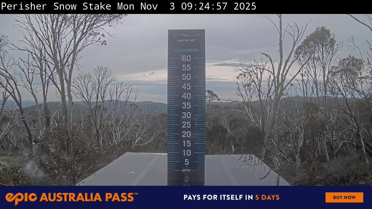 View full-screen Snow Stake Live Cam