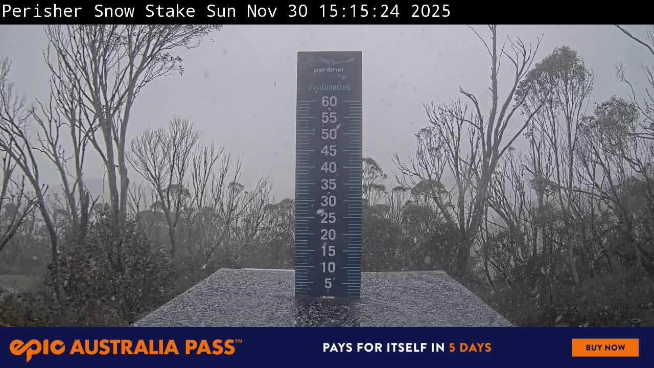 View full-screen Snow Stake Live Cam