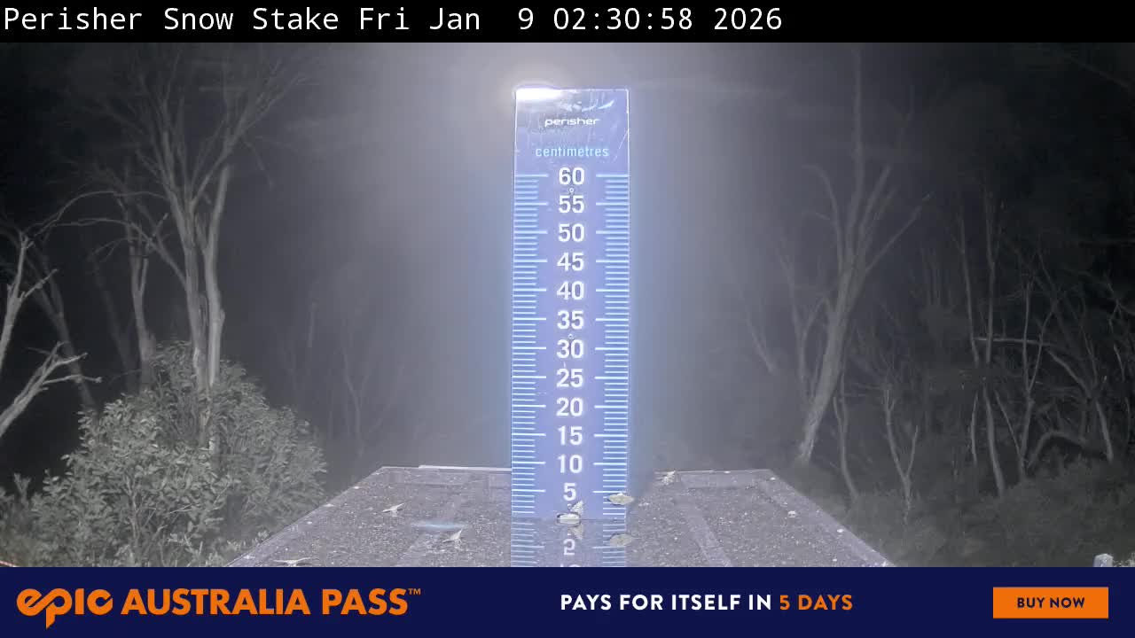 View full-screen Snow Stake Live Cam