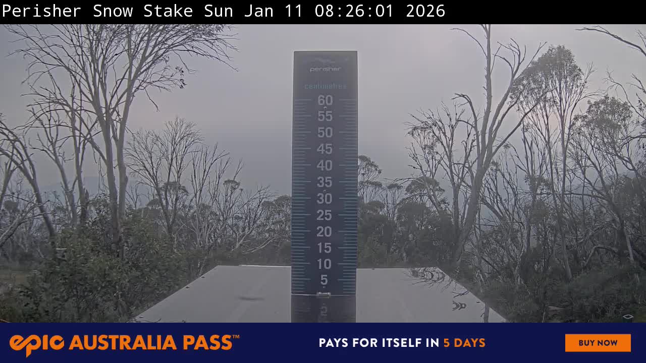 View full-screen Snow Stake Live Cam