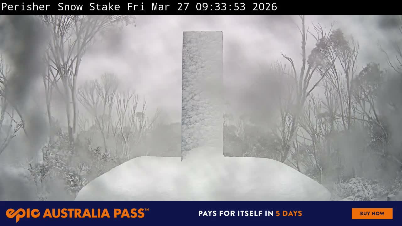 View full-screen Snow Stake Live Cam