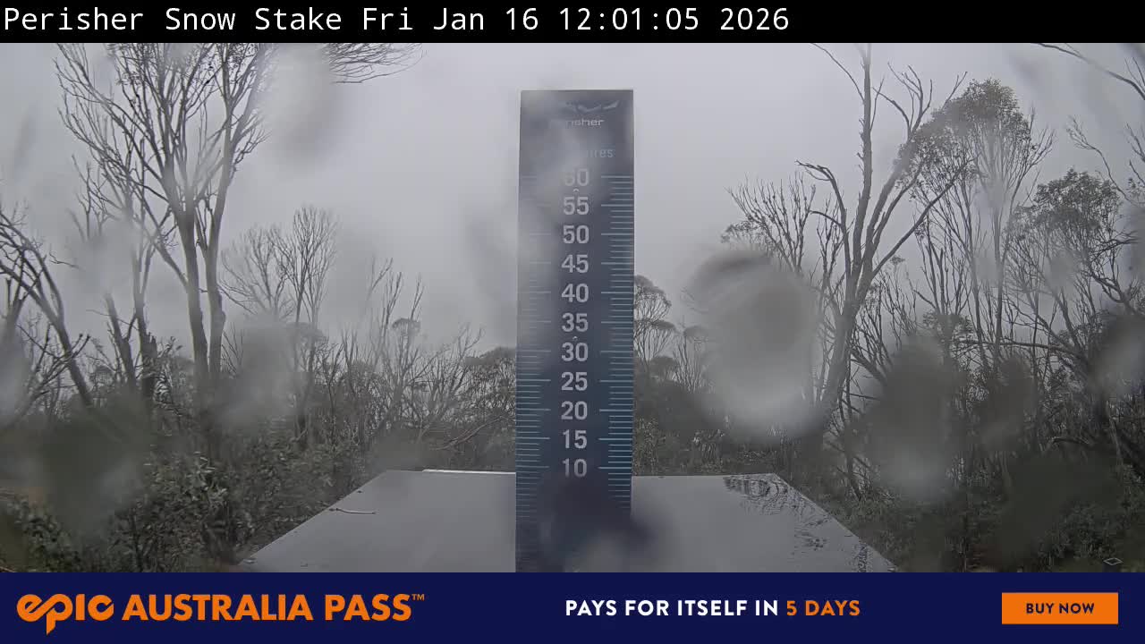 View full-screen Snow Stake Live Cam