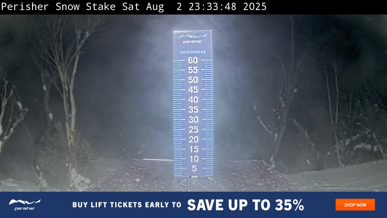 Snow Stake
